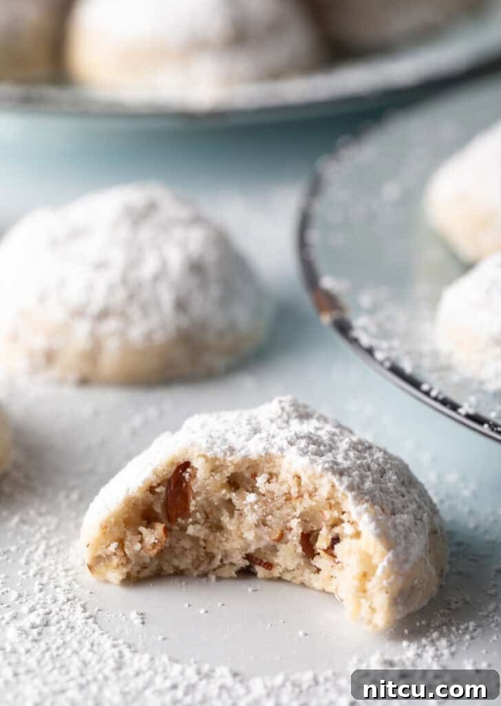 Close view of a Russian tea cookie with a large bite taken out.