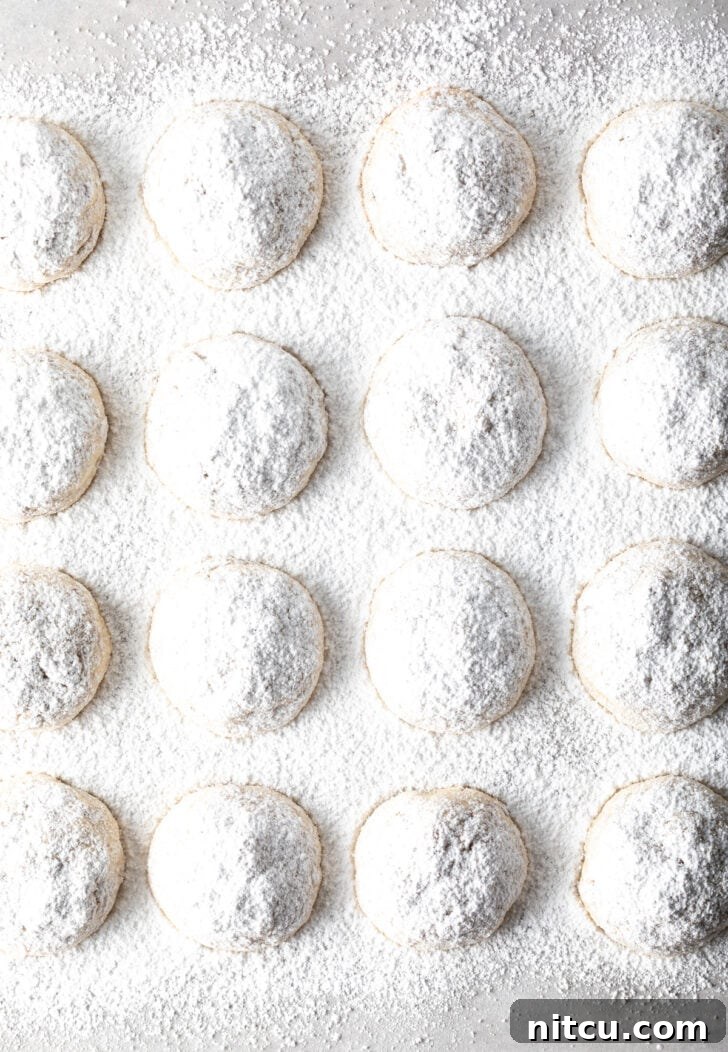 Top down view 16 snowball cookies on a baking sheet, covered with a heavy layer of powdered sugar.