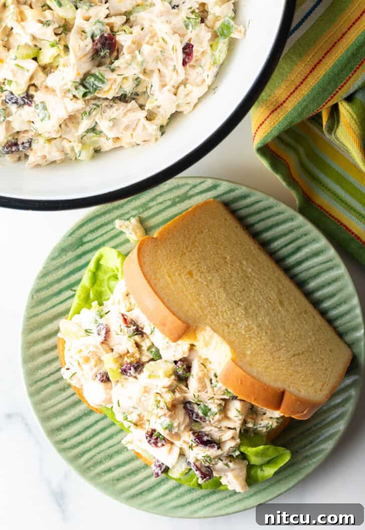 Sweet & Tart Cranberry Chicken Salad 4 Cranberry chicken salad sandwich with top mostly open to show the salad and fresh greens inside.