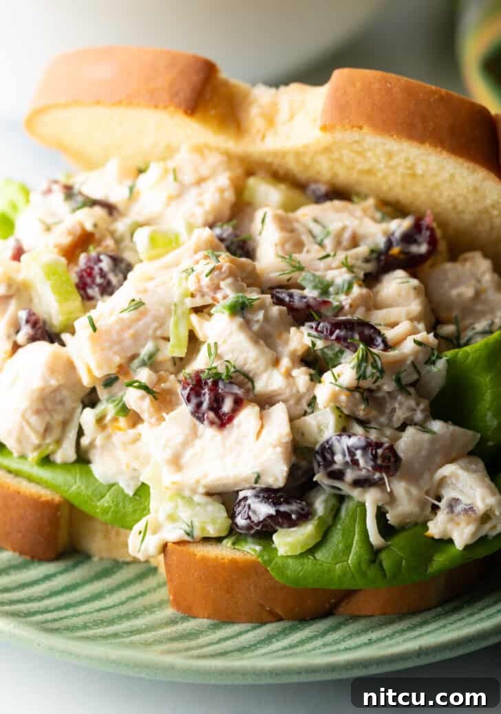 Sweet & Tart Cranberry Chicken Salad 7 Cranberry chicken salad sandwich with top mostly open to show the salad and fresh greens inside.