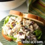Sweet & Tart Cranberry Chicken Salad 8 Cranberry chicken salad sandwich with top mostly open to show the salad and fresh greens inside.