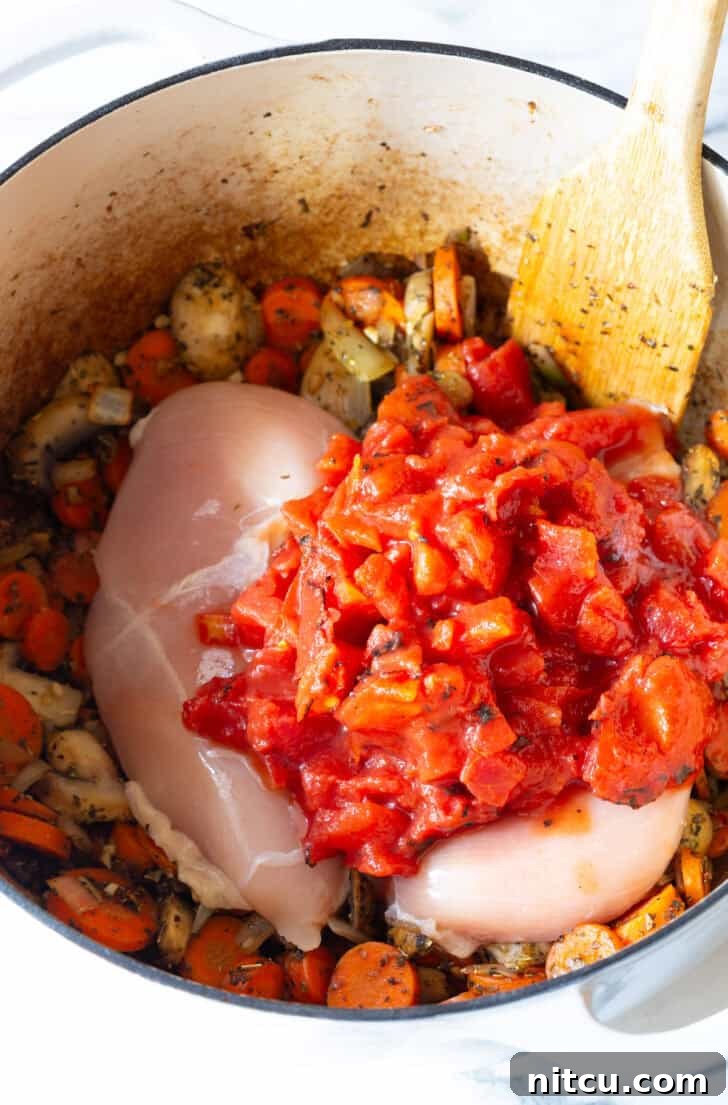 Two boneless chicken breasts nestled in a pot with diced tomatoes, zucchini, and carrots, ready to simmer into a delicious soup.