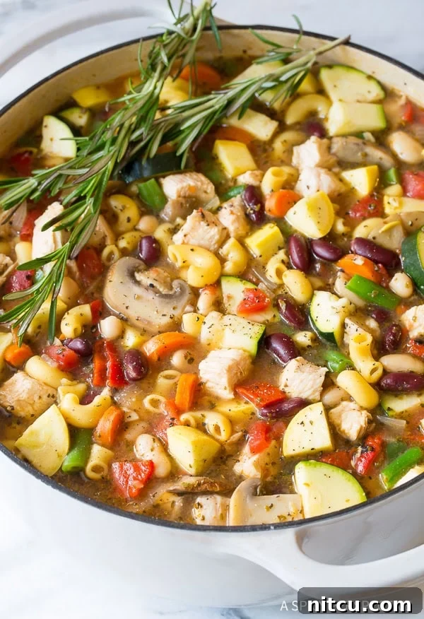 Perfect Healthy Chicken Minestrone Soup Recipe, showcasing a perfectly cooked and flavorful bowl.