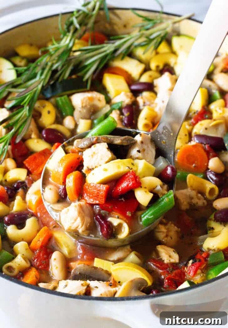 A ladleful of vibrant chicken and vegetable minestrone soup, perfectly portioned and ready to be served.