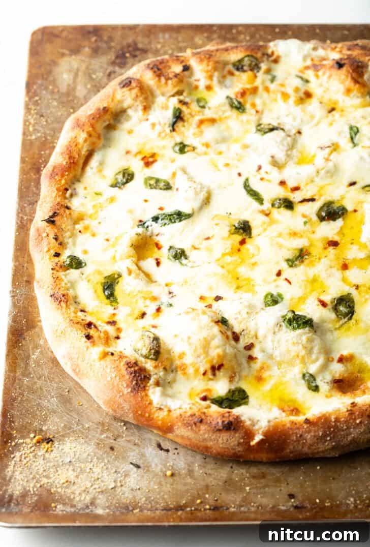 Homemade White Pizza Perfection 2 Baked whole white pizza on a baking sheet, golden and bubbly.