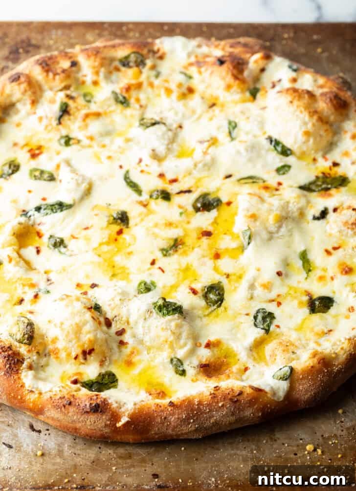 Homemade White Pizza Perfection 11 Baked whole white pizza on a baking sheet, ready to be sliced.