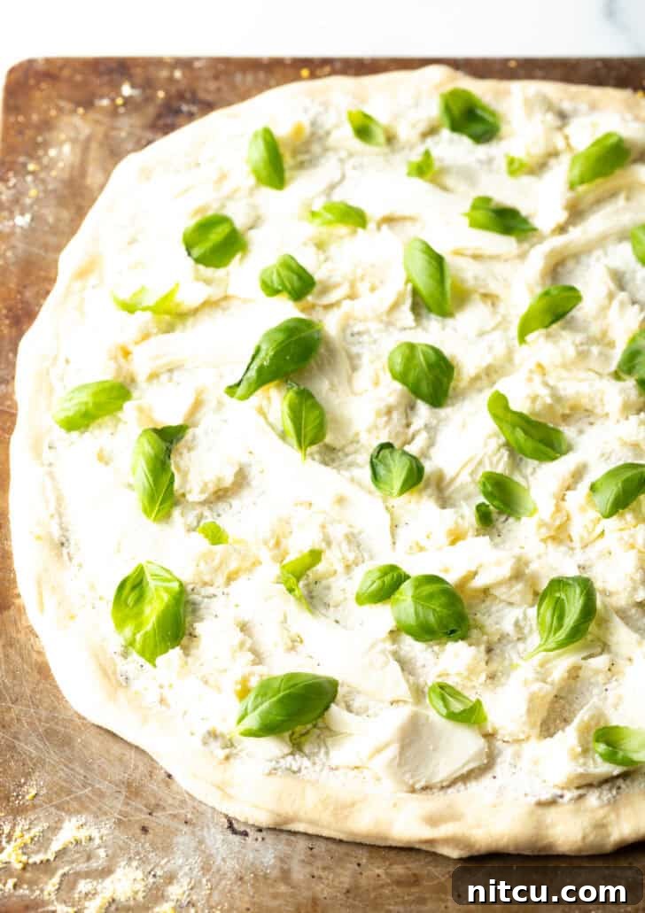 Homemade White Pizza Perfection 8 Unbaked pizza with white sauce and fresh baby basil leaves scattered on top.