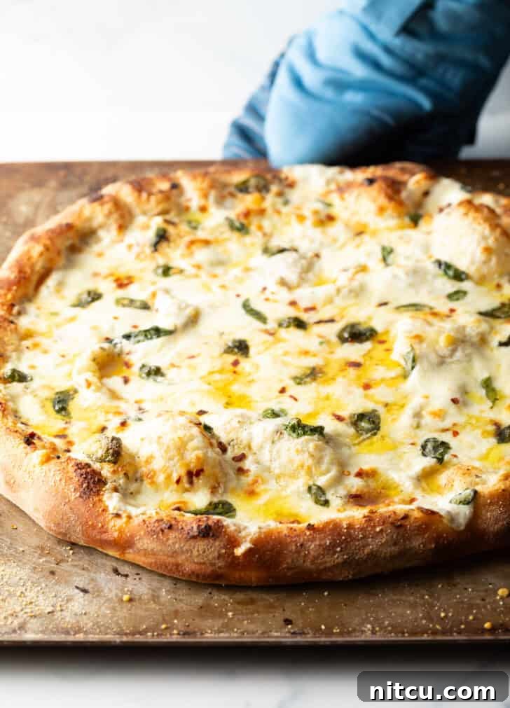 Homemade White Pizza Perfection 10 Baked whole white pizza on a baking sheet, golden and perfectly cooked.