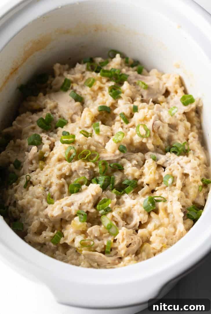 A fully cooked crockpot of creamy chicken and brown rice, ready to be served.