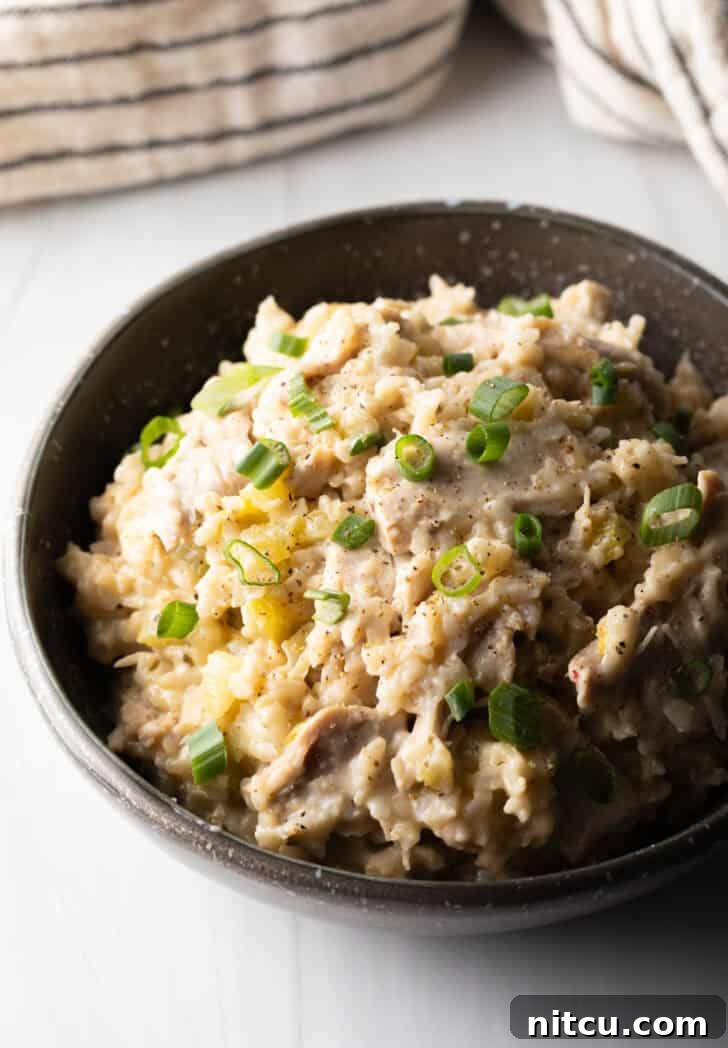 A bowl of creamy brown rice chicken and rice, garnished with fresh green onions.