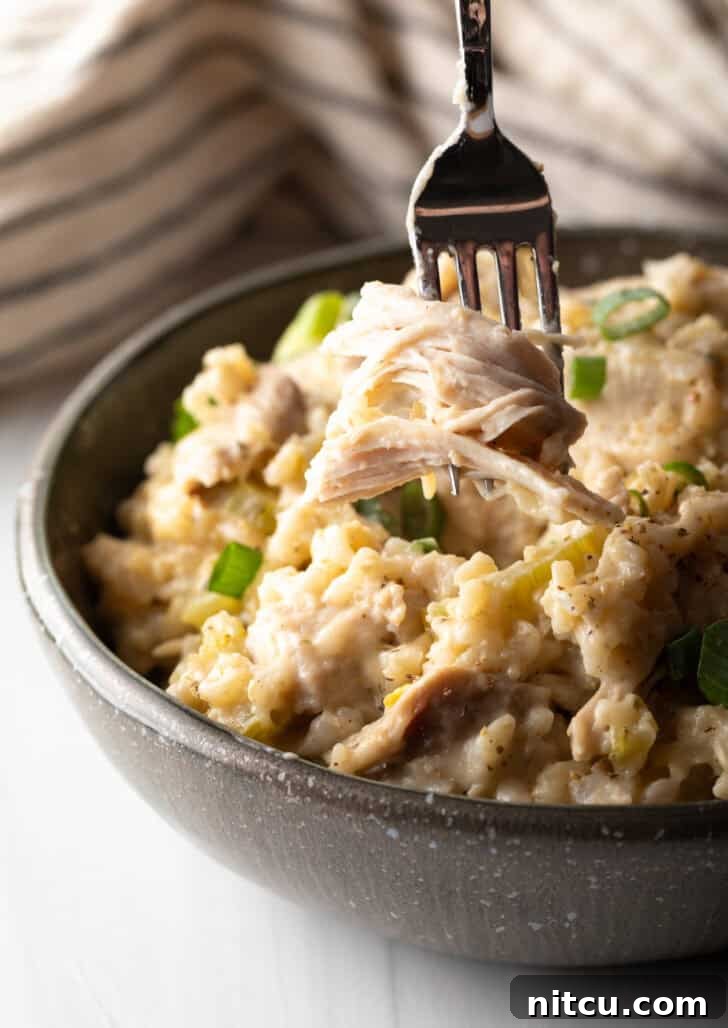 Close-up of creamy chicken and brown rice in a black bowl, with a fork digging in.