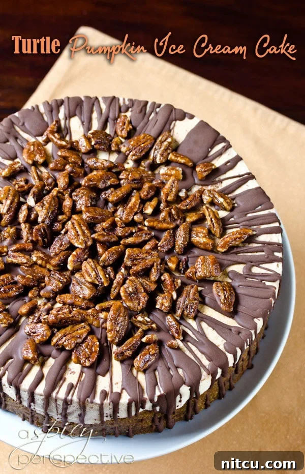 Golden Pumpkin Turtle Ice Cream Dream 2 A slice of Turtle Pumpkin Ice Cream Cake on a plate, showcasing its layers of gingersnap crust, dulce de leche, pumpkin ice cream, chocolate shell, and candied pecans.