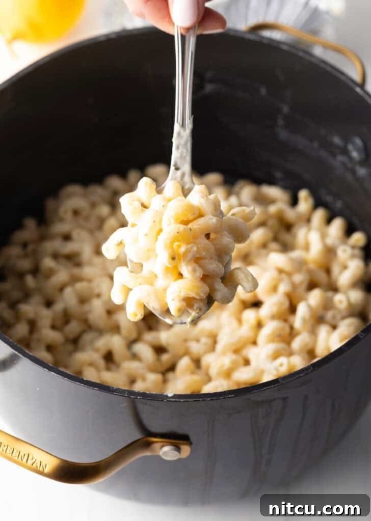 Decadent Boursin Pasta 9 A hand holding a spoonful of perfectly cheesy pasta, glistening with sauce, above a black pot of freshly cooked noodles.