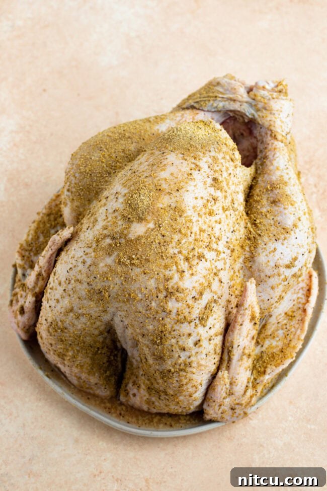 marinade Raw turkey covered in the homemade spice blend.