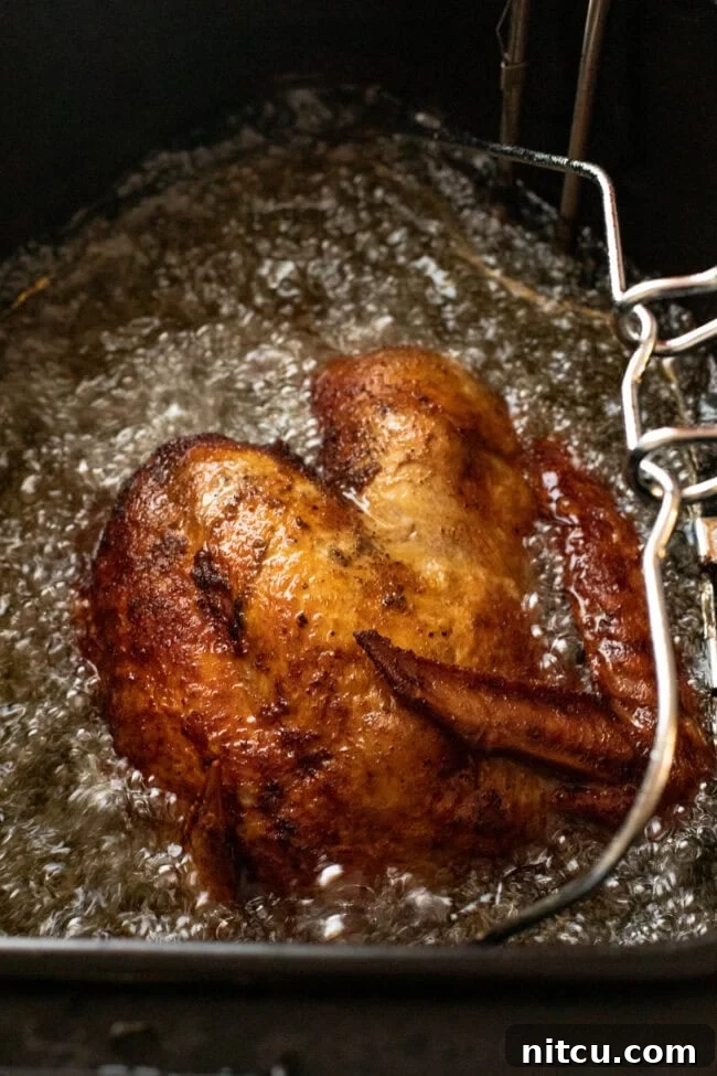 frying-time Deep frying a turkey in a deep fryer.