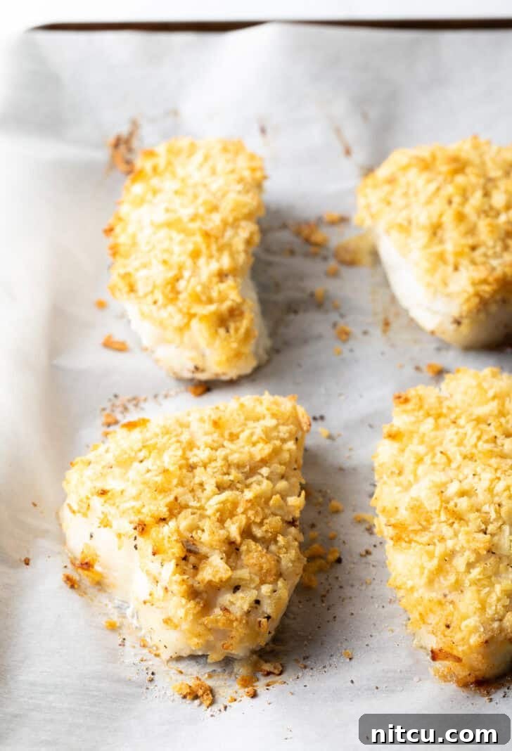 A different angle of the four baked fish fillets, showcasing the uniform and inviting potato chip crust on a parchment-lined baking sheet.