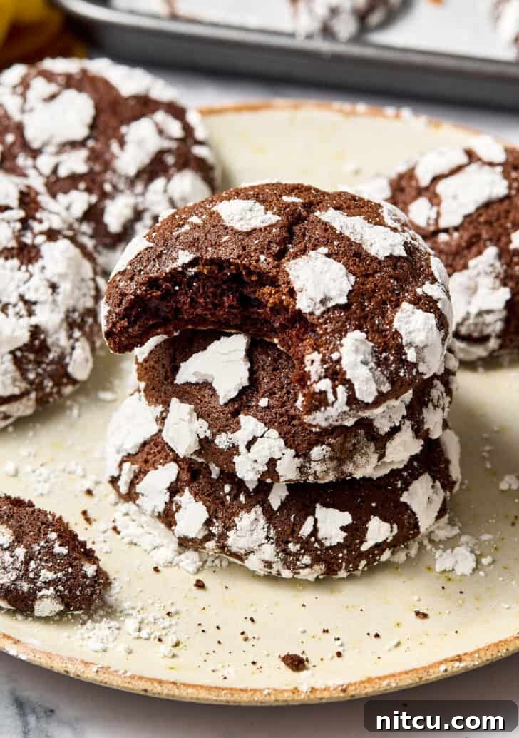 Fiesta Crinkle Cookies 2 Mexican Mocha Crinkle Cookies Recipe stacked on plate with bite taken out of top cookie, showcasing the perfect crinkles and fudgy interior.