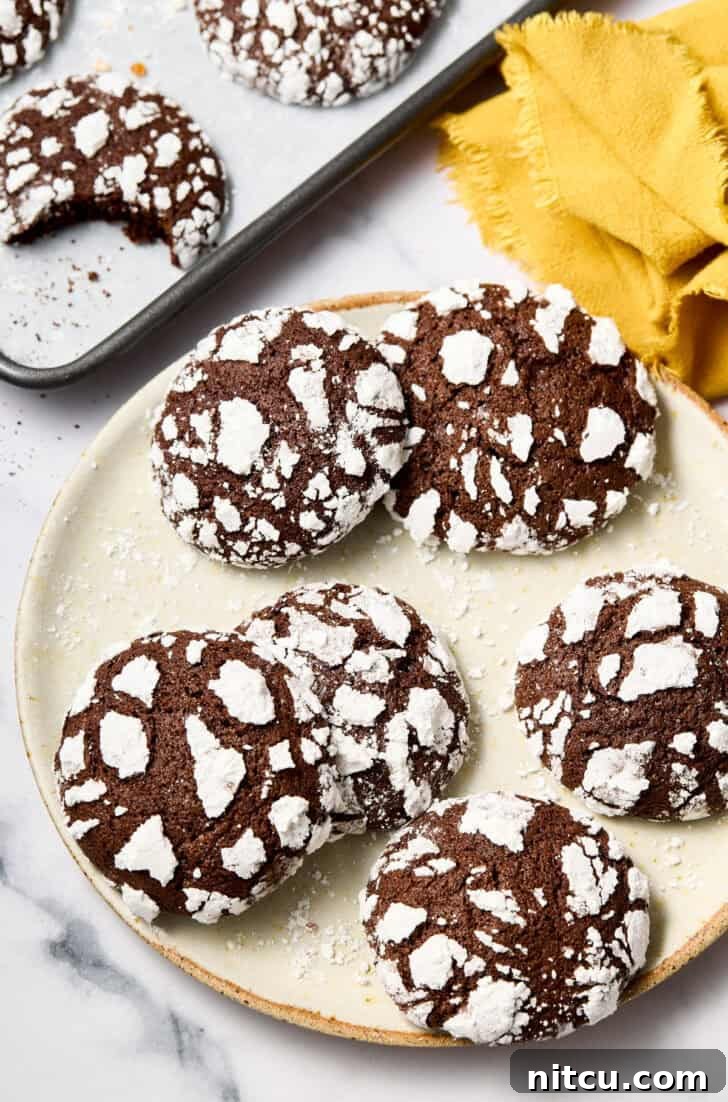 Fiesta Crinkle Cookies 3 Mexican Crinkle Cookies Recipe - cookies spread out on plate with more chocolate cookies in the background, highlighting their festive appearance.