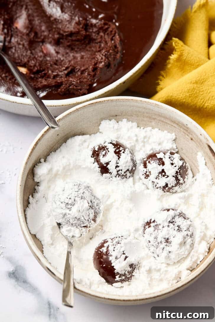 Fiesta Crinkle Cookies 5 Mexican Crinkle Cookies dough balls rolled generously in powdered sugar, ready for baking.