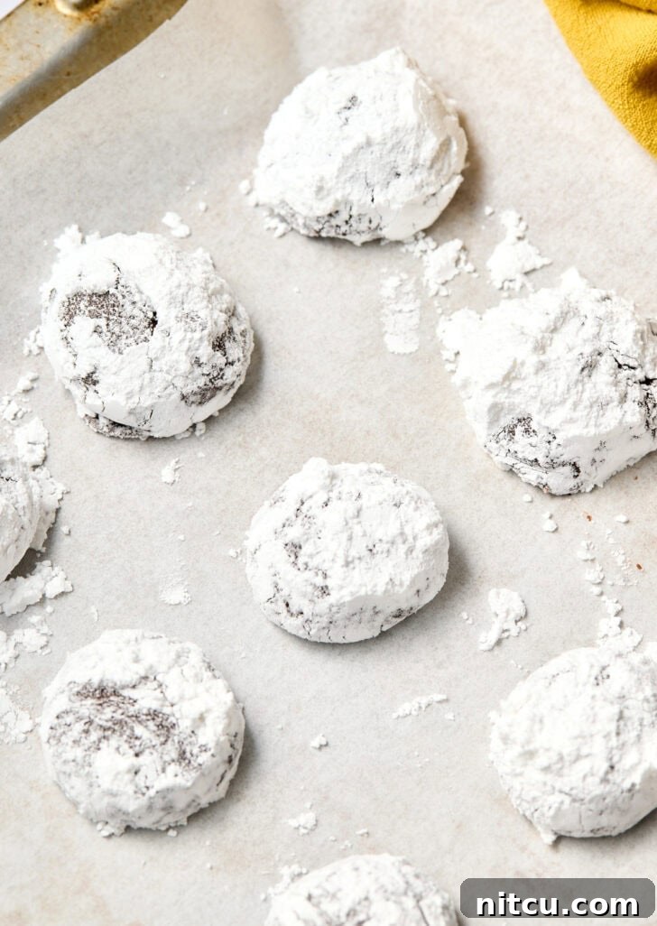 Fiesta Crinkle Cookies 6 Mocha Crinkle Cookies on baking sheet before baking, perfectly spaced for even cooking.