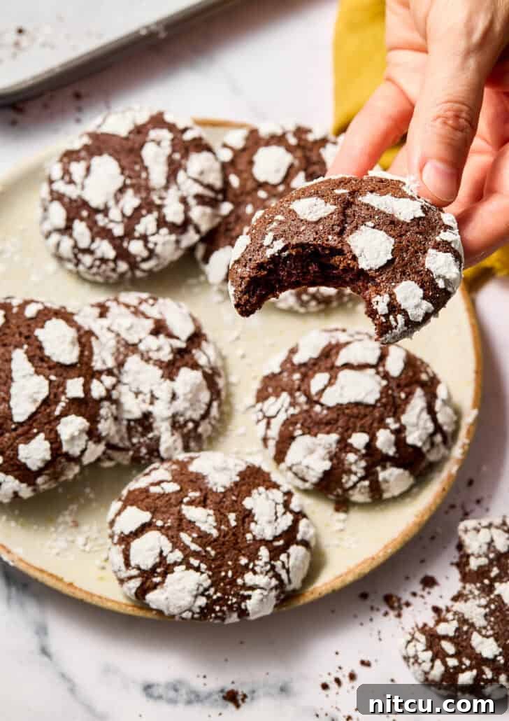 Fiesta Crinkle Cookies 8 Chocolate Crinkle Cookies Recipe - one cookie lifted by hand with bite taken out, showing the soft, moist texture inside.