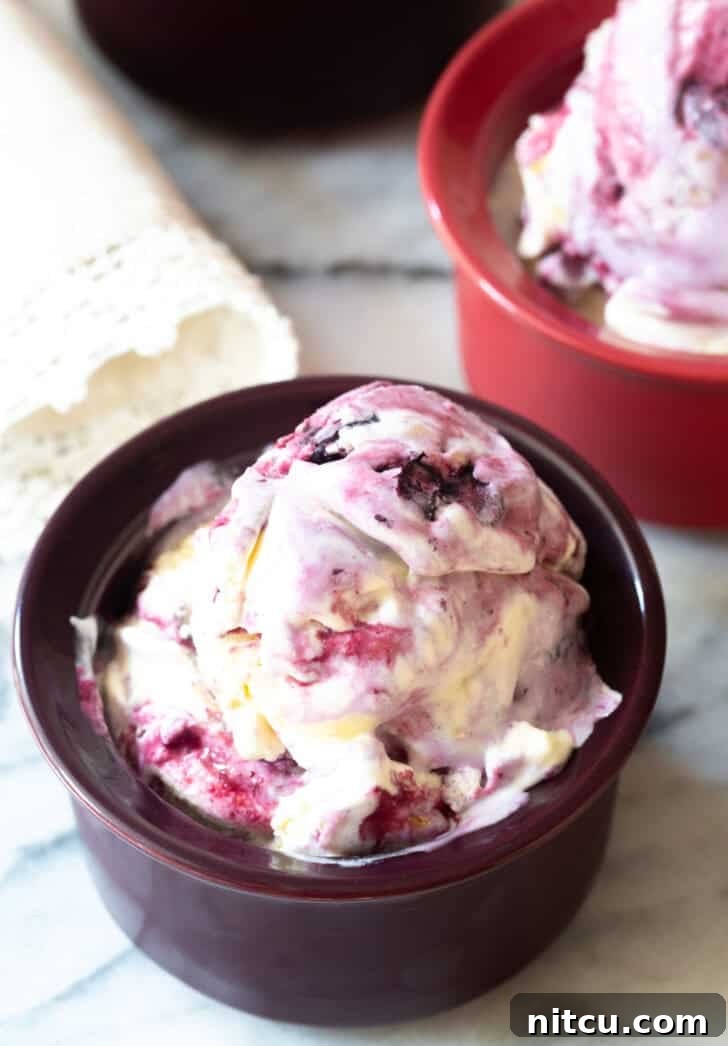 Berry Bliss Freeze 2 A scoop of homemade blueberry pie ice cream in a dark bowl, garnished with fresh blueberries and pie crust crumbs.