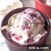 Berry Bliss Freeze 14 Dark bowl with blueberry pie ice cream. A spoon is taking a scoop from the bowl.