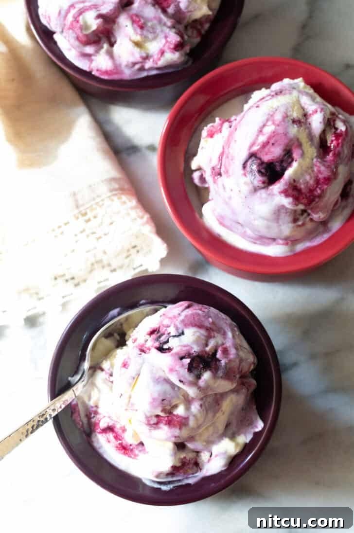 Berry Bliss Freeze 15 Overhead shot of three elegant bowls of blueberry pie ice cream, each featuring a generous scoop and a spoon, inviting guests to dig in.