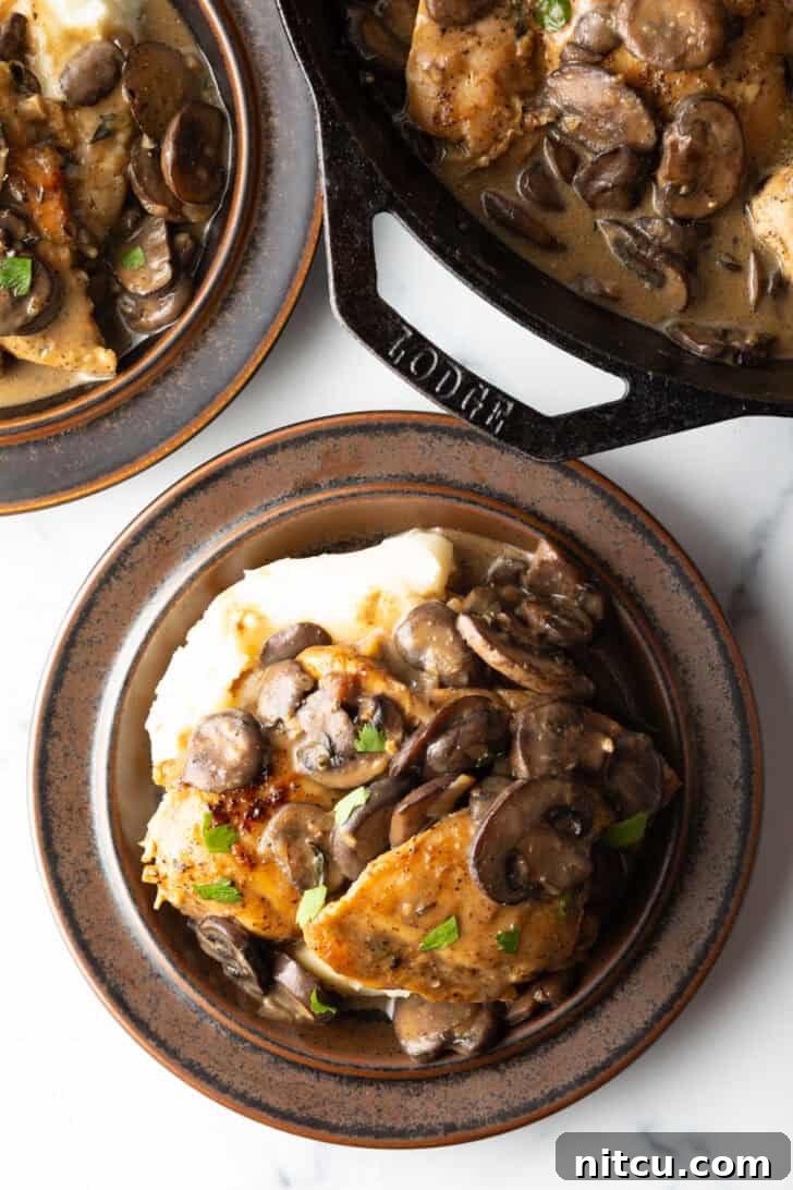 Creamy Mushroom Chicken Delight 2 Top-down view of creamy mushroom chicken served with fluffy mashed potatoes on a rustic brown plate.
