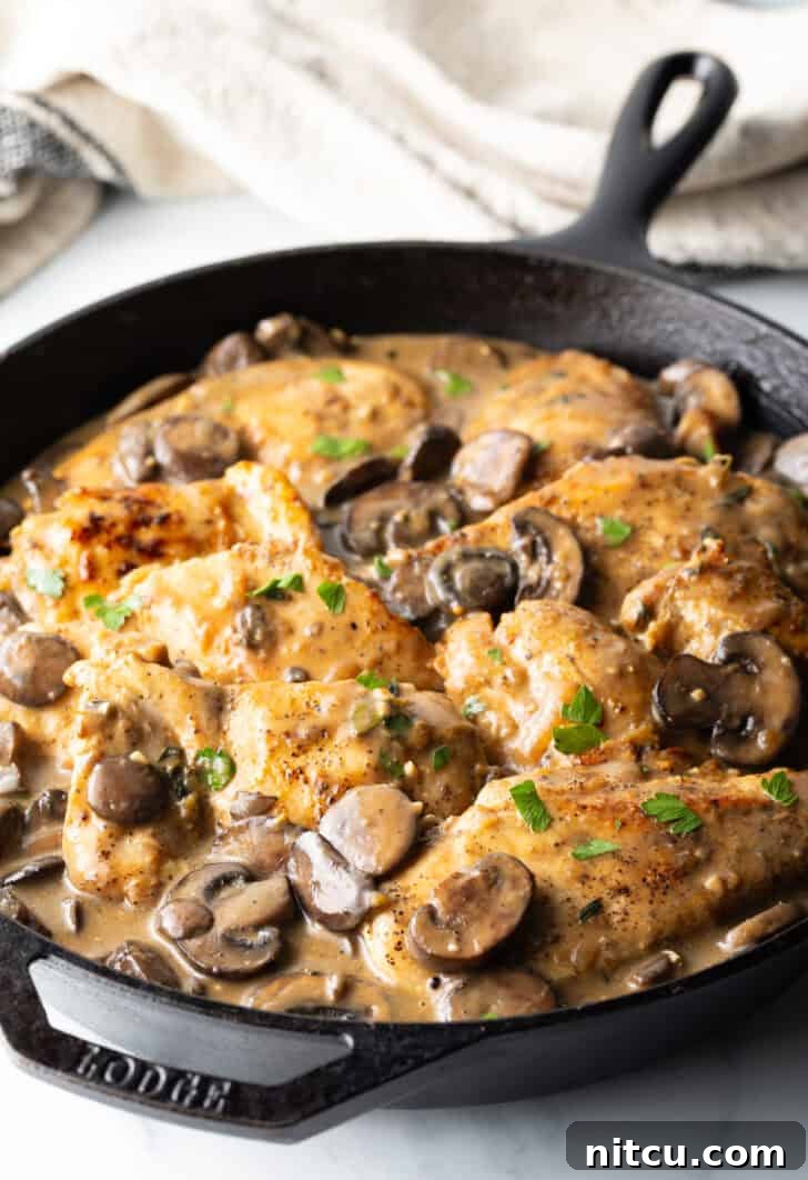 Creamy Mushroom Chicken Delight 11 Cast iron skillet filled with seared chicken breast pieces and sliced mushrooms lovingly coated in a luscious brown gravy.