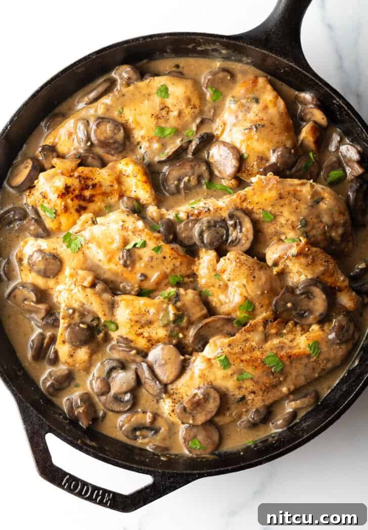 Creamy Mushroom Chicken Delight 5 Cast iron skillet brimming with perfectly seared chicken breast pieces and sautéed sliced mushrooms in a rich brown gravy.