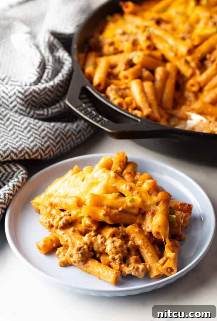 Homestyle Beef Bake 14 Gray plate with serving of cheeseburger casserole. A close-up view of the hearty ingredients.