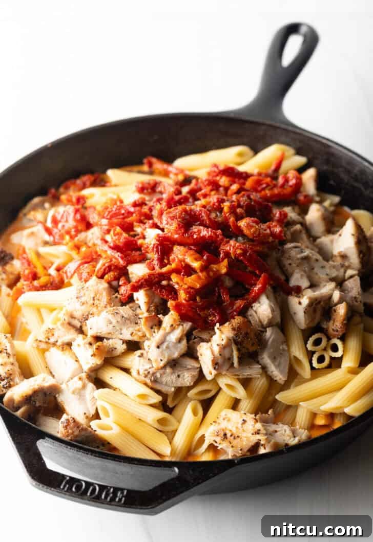 Proposal-Worthy Chicken Pasta 10 Adding vibrant sun-dried tomatoes to chopped chicken and penne pasta in a cast iron skillet, mixing flavors.