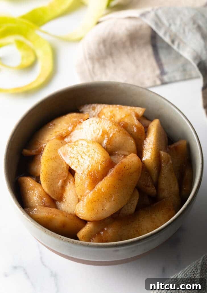 Caramelized Apple Bliss 2 Serving of perfectly spiced fried apples in a rustic gray bowl, ready to be enjoyed.