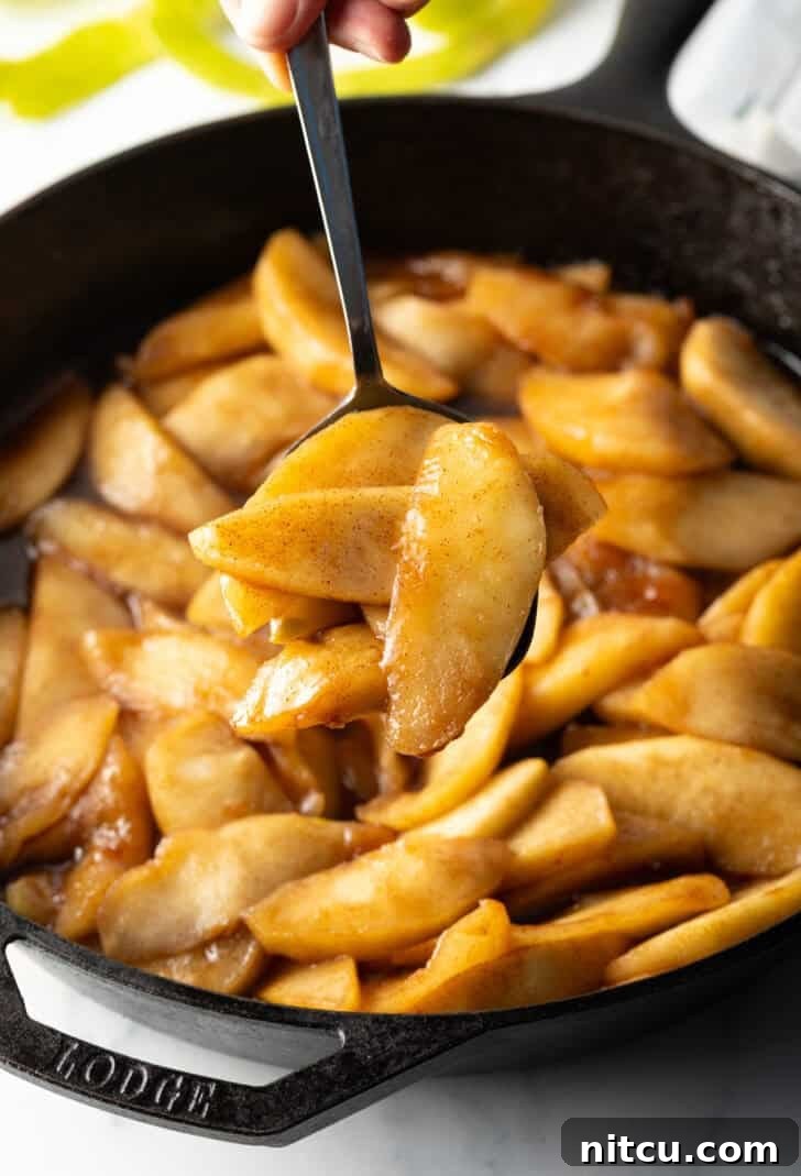 Caramelized Apple Bliss 4 A spoon lifting a serving of glistening spiced apple slices, showcasing their tender texture.