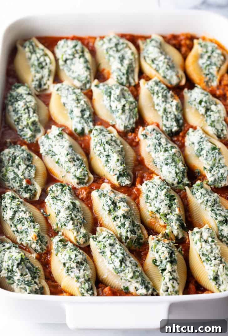 25 spinach and meat stuffed shells in a white baking dish, ready to go into the oven