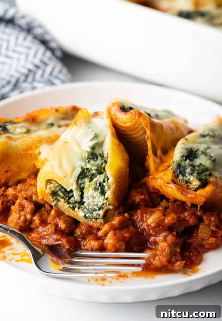 4 stuffed shells with spinach and meat sauce on a white plate.