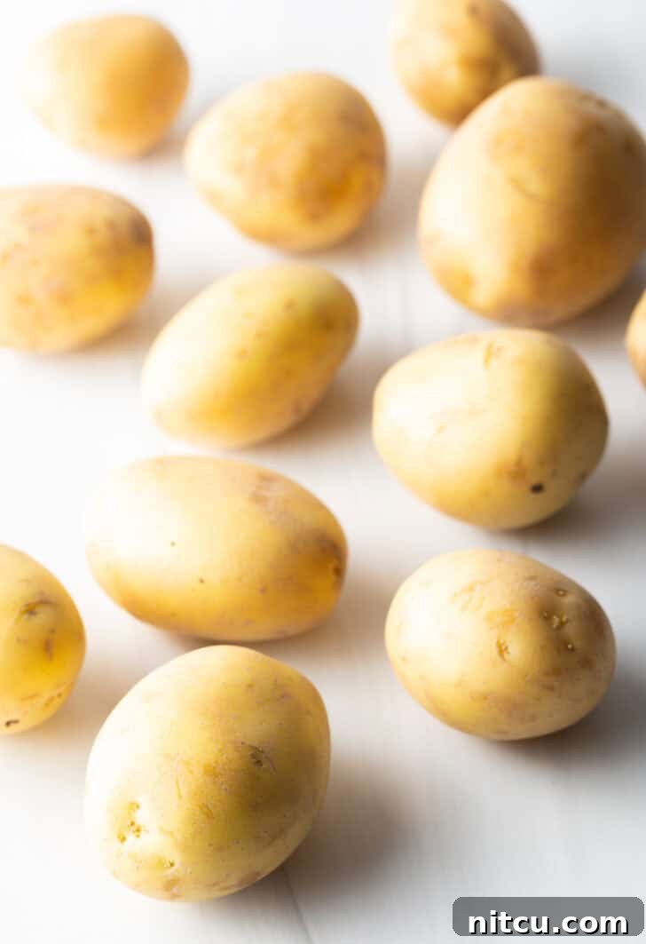 Crispy Potato Gold 5 Several small yellow potatoes on a white background.