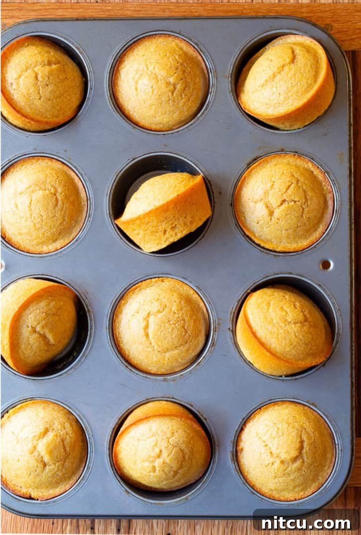 Golden Cornbread Gems 2 Top down view of a muffin tin filled with a dozen freshly baked golden honey cornbread muffins, showing their fluffy texture and inviting aroma.