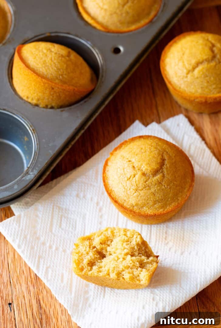 Golden Cornbread Gems 5 Two golden-brown honey cornbread muffins on a white napkin, one expertly split in half to showcase its incredibly moist, fluffy interior, with a full muffin tin in the background.