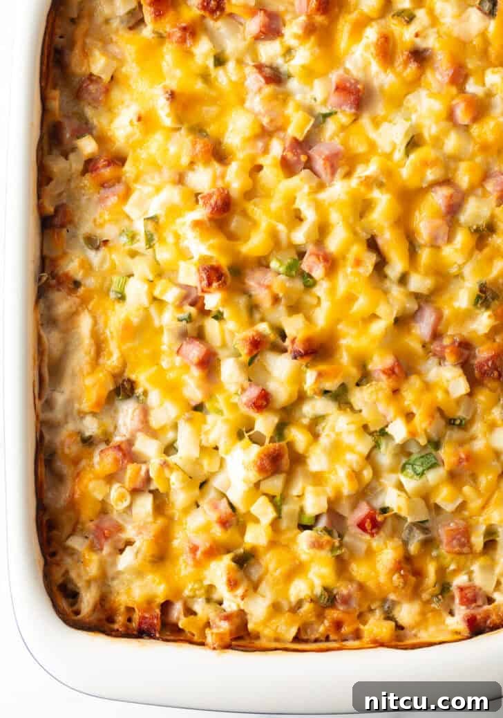 Golden Ham and Potato Bake 2 Top down view of cheesy ham and potato casserole, showcasing its golden-brown crust and melted cheese.