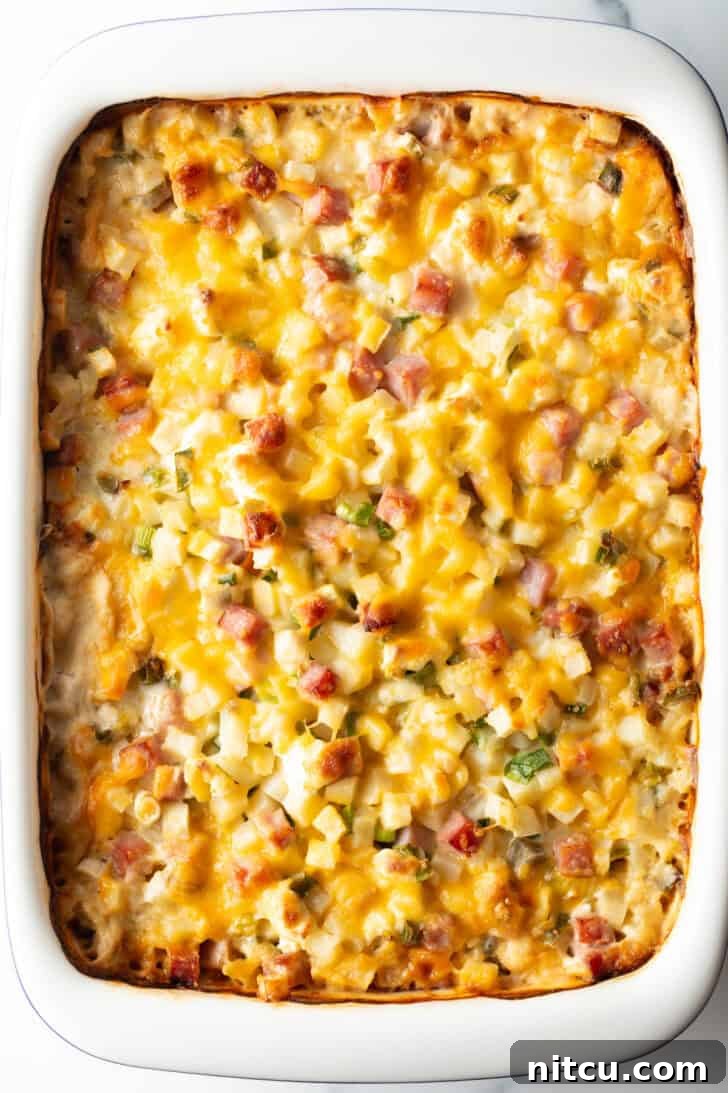 Golden Ham and Potato Bake 12 Top down view of cheesy ham and potato casserole in a serving dish, ready to eat.