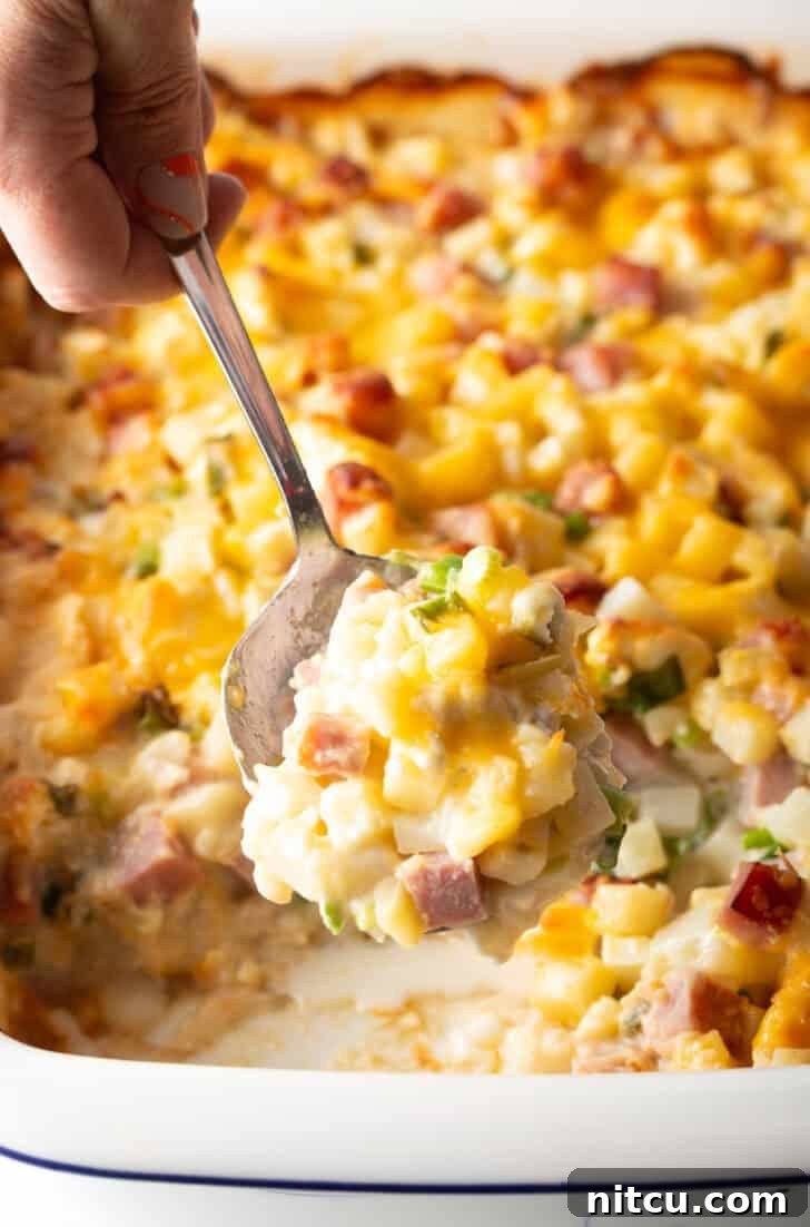 Golden Ham and Potato Bake 14 Close-up of the delicious baked ham and potato casserole, showing texture and golden crust.