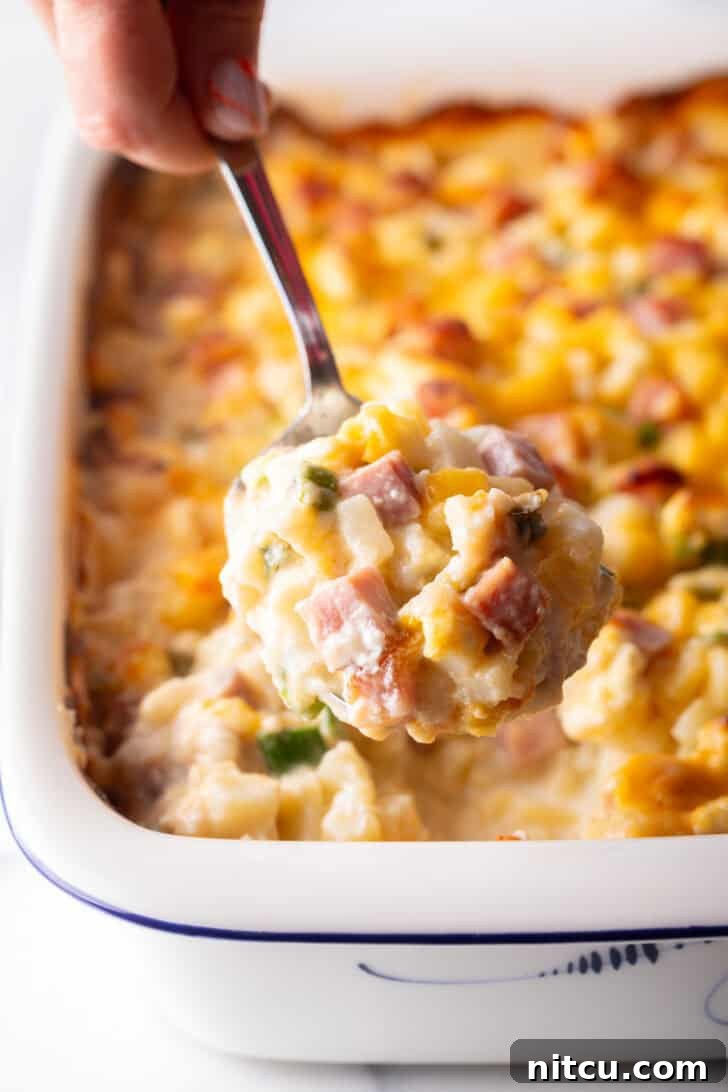 Golden Ham and Potato Bake 5 Hand holding a metal spoon full of cheesy ham and potato casserole, showing the gooey cheese and tender ingredients.