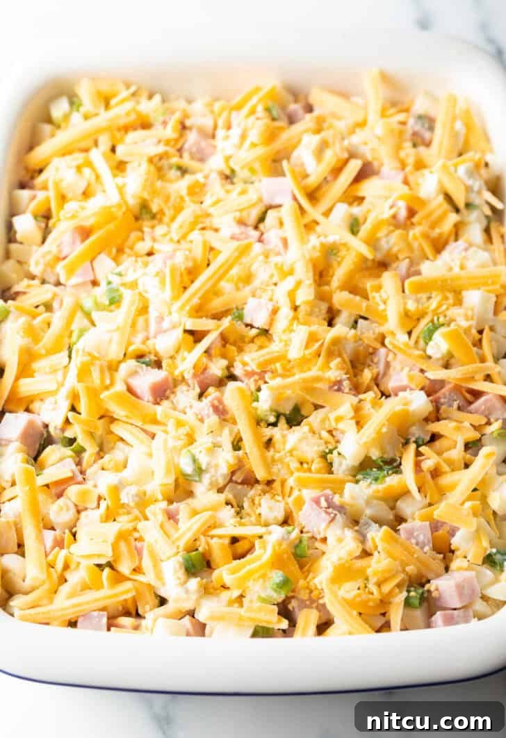 Golden Ham and Potato Bake 10 Sprinkling final layer of cheddar cheese over the casserole.