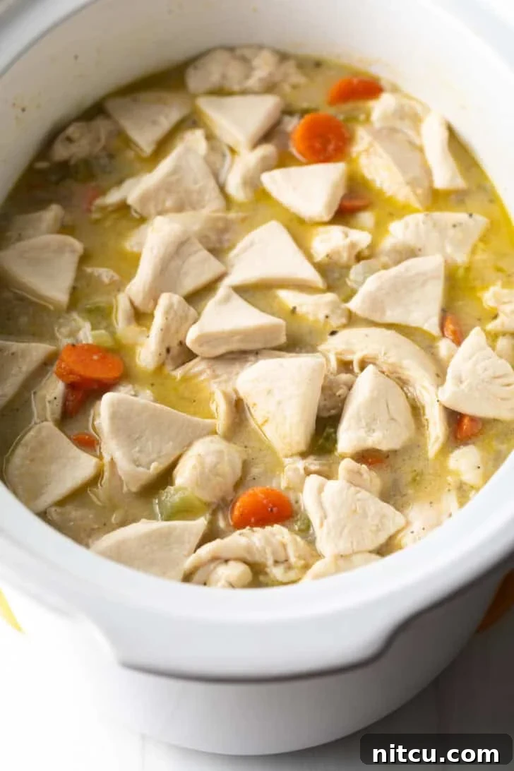 Effortless Slow Cooker Chicken and Dumplings 11 Triangular biscuit dough pieces gently dropped into a white slow cooker containing shredded chicken and a rich, simmering broth.