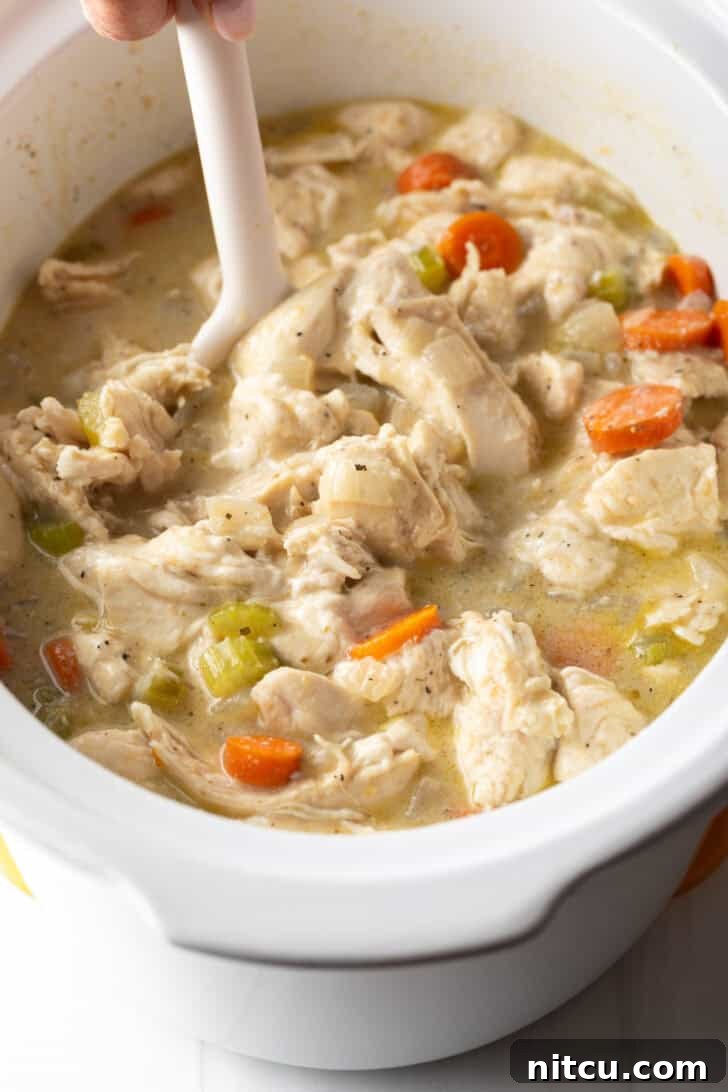 Effortless Slow Cooker Chicken and Dumplings 12 A spoon stirring chicken and dumplings with tender carrots in a white crock pot, ensuring all ingredients are well combined and heated.