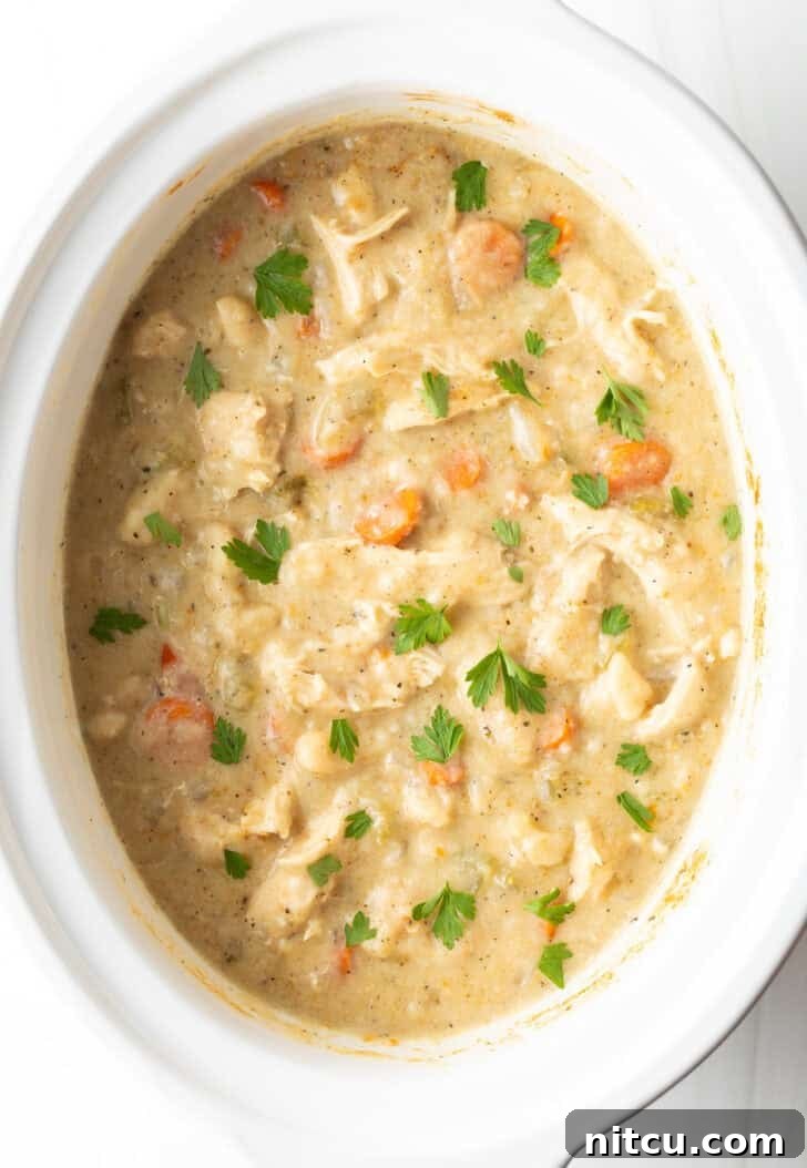Effortless Slow Cooker Chicken and Dumplings 13 A white crock pot brimming with cooked chicken and dumplings, generously sprinkled with fresh parsley, ready for serving.