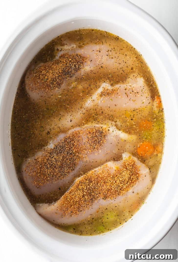 Effortless Slow Cooker Chicken and Dumplings 6 Four raw chicken breasts immersed in savory broth within a white slow cooker, ready for slow cooking.