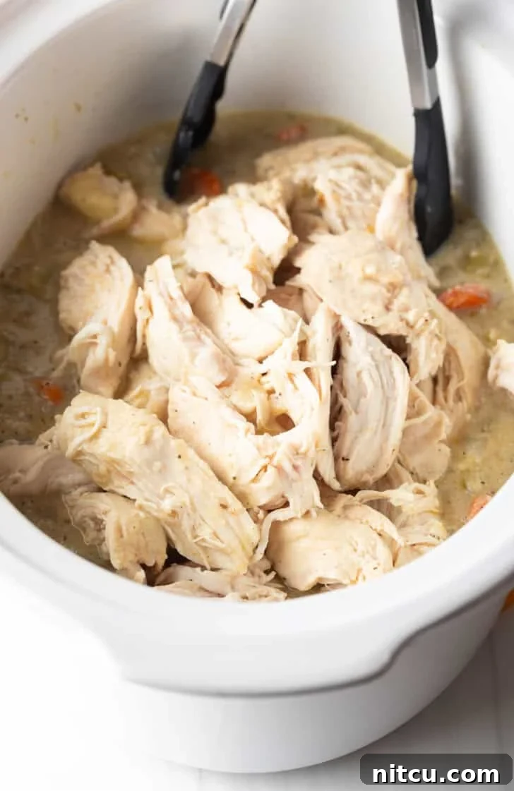 Effortless Slow Cooker Chicken and Dumplings 8 Tongs gently lifting a piece of perfectly shredded chicken from the white crockpot, demonstrating its tenderness.